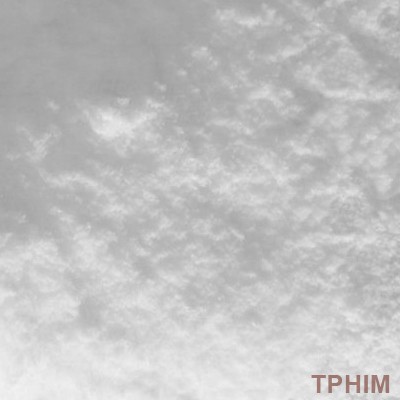 Янтарная кислота